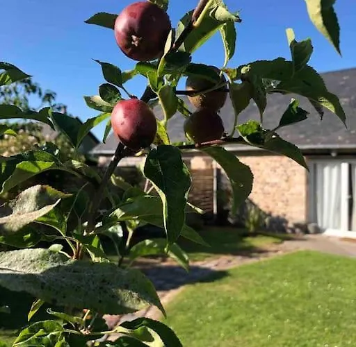 Le D'eva 翁弗勒尔